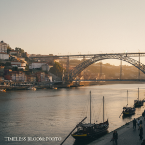 Visita a Oporto