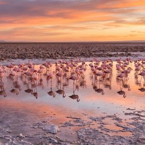 Salar de Atacama